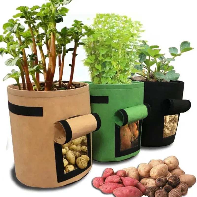 Felt Plant Grow Bags