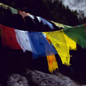 Large Traditional Tibetan Windhorse Block Printed Prayer Flag - 1 set