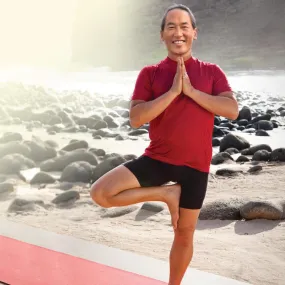 Rodney Yee's Best of Yoga DVD