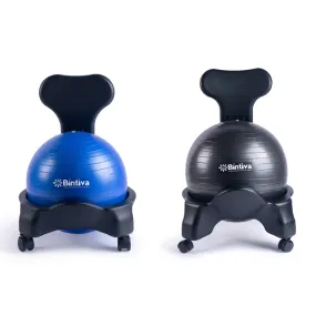 Stability Ball Chair