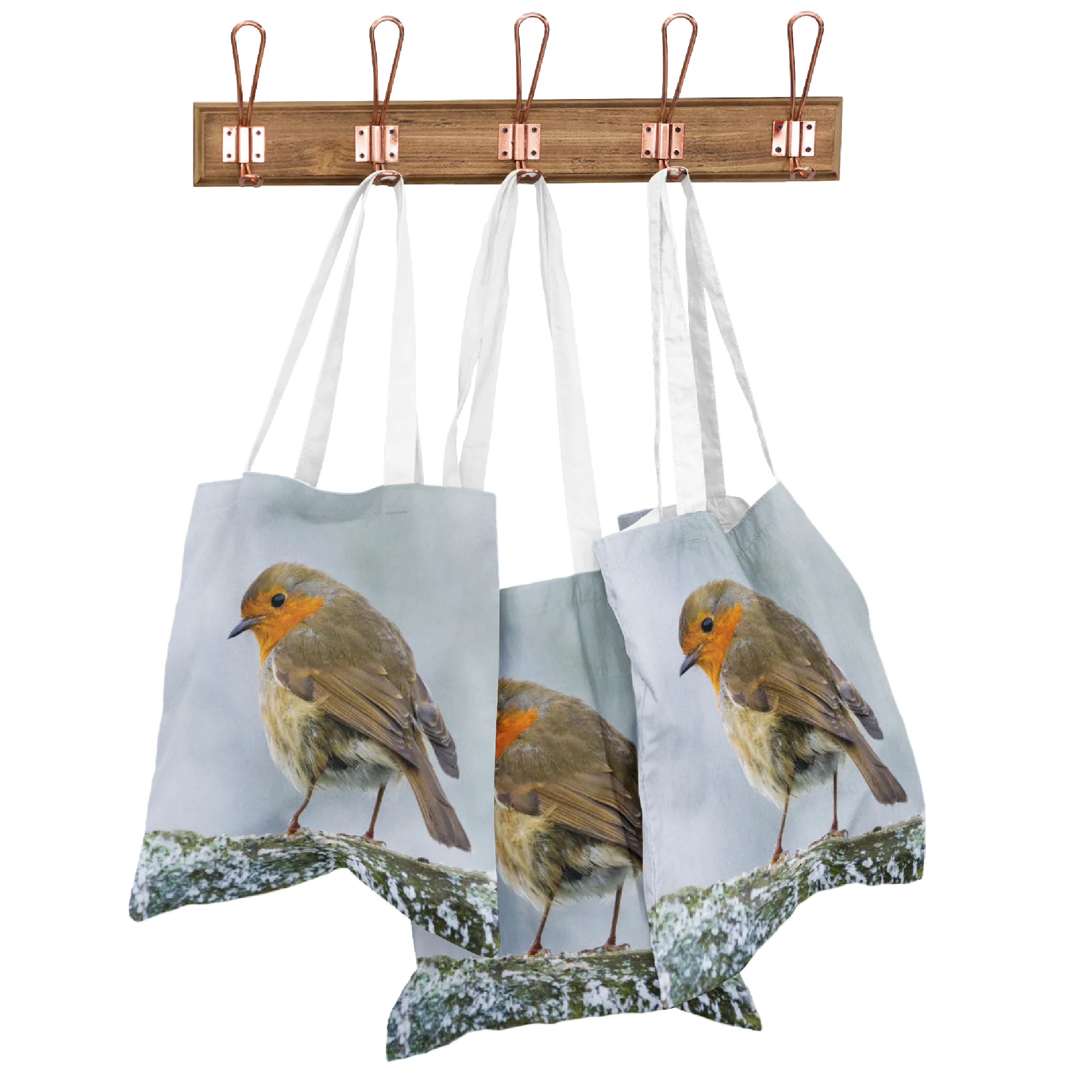 Winter Robin Wipeable Bag for Life